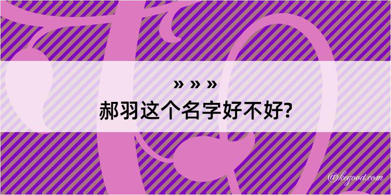 郝羽这个名字好不好?