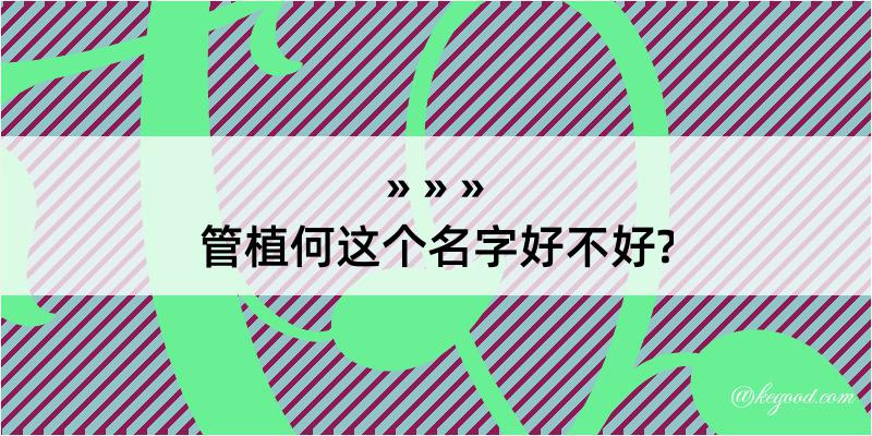 管植何这个名字好不好?