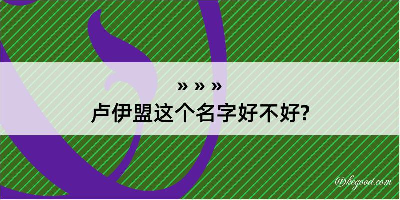 卢伊盟这个名字好不好?