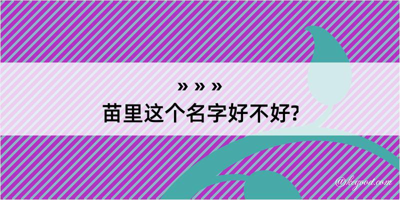 苗里这个名字好不好?