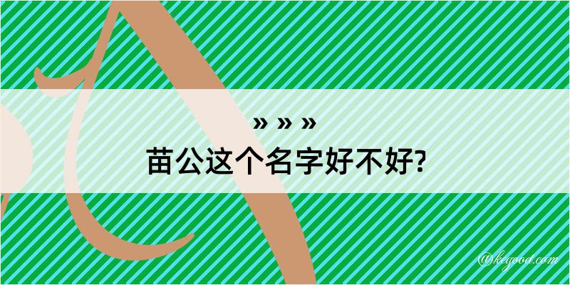 苗公这个名字好不好?