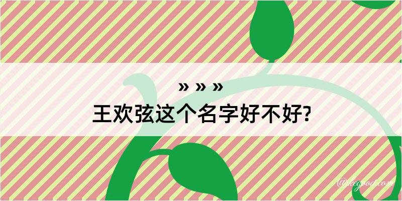 王欢弦这个名字好不好?