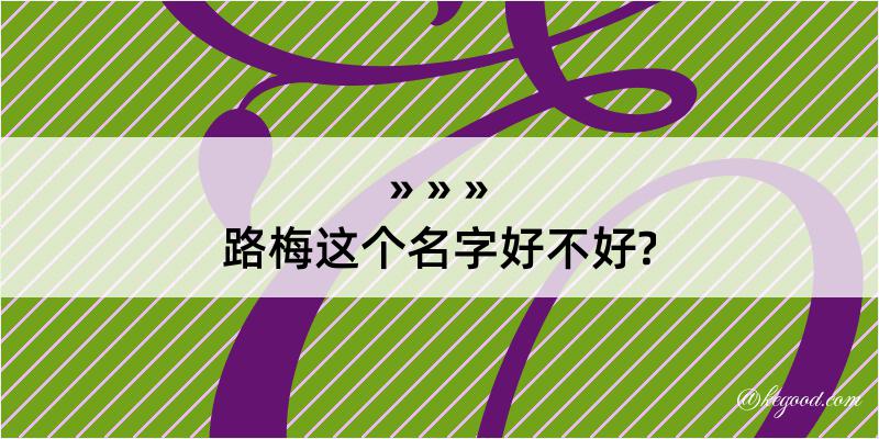 路梅这个名字好不好?