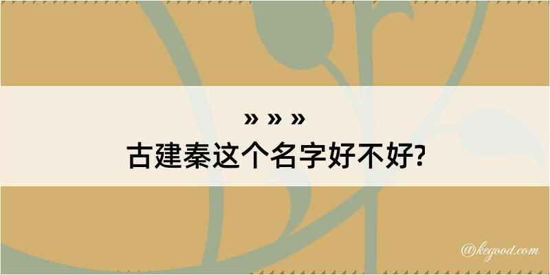 古建秦这个名字好不好?