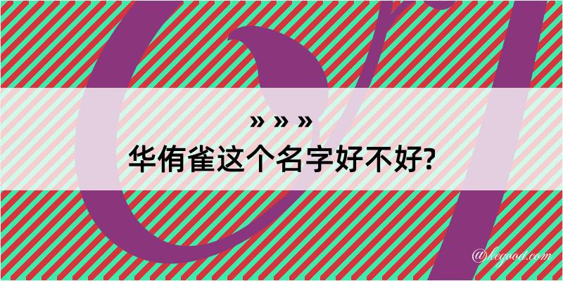 华侑雀这个名字好不好?