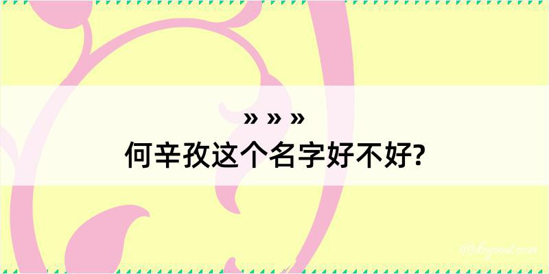 何辛孜这个名字好不好?