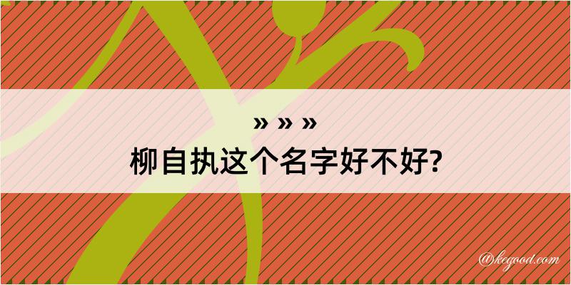 柳自执这个名字好不好?