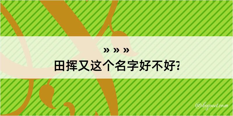 田挥又这个名字好不好?