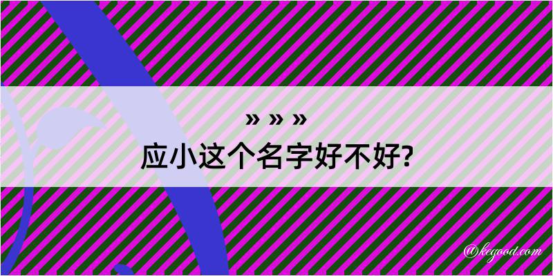 应小这个名字好不好?