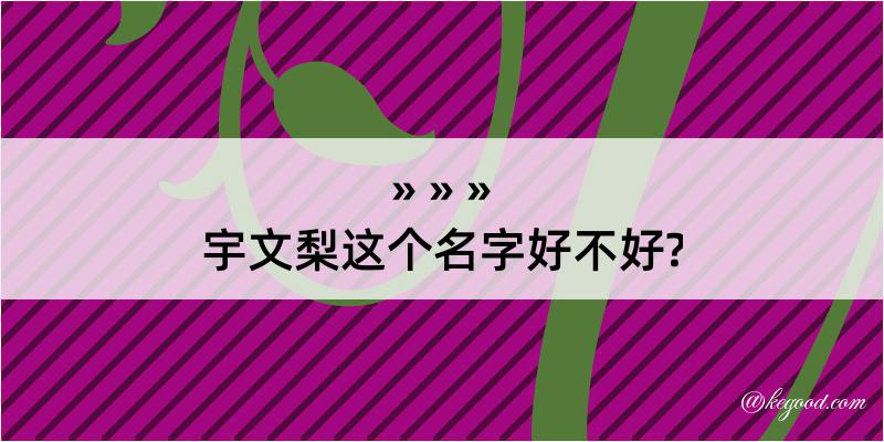 宇文梨这个名字好不好?