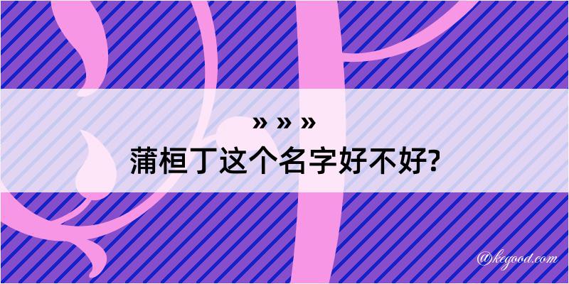 蒲桓丁这个名字好不好?