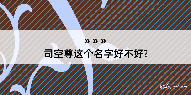 司空尊这个名字好不好?