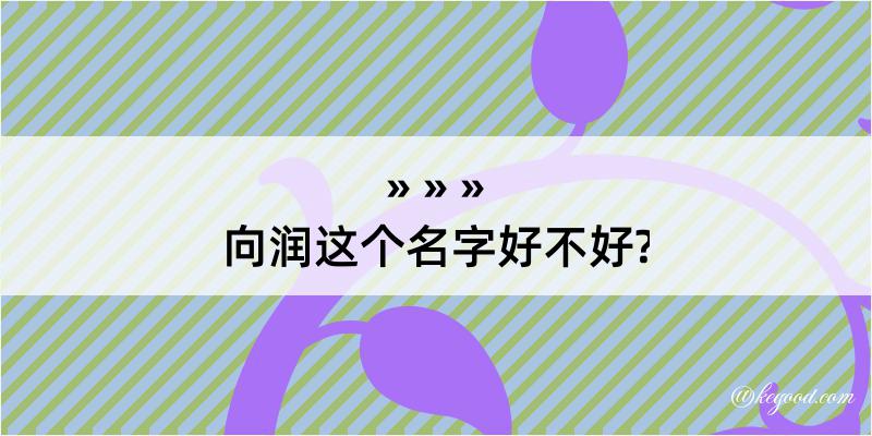 向润这个名字好不好?