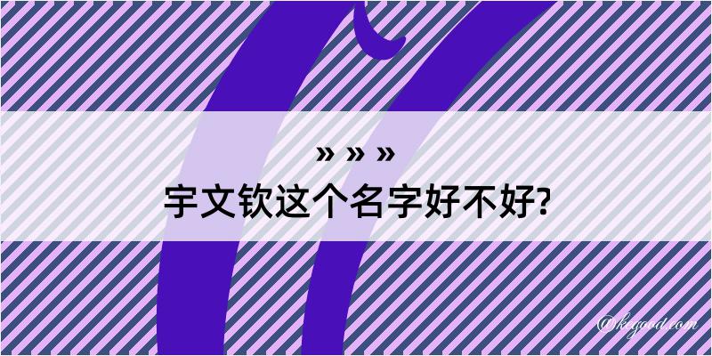 宇文钦这个名字好不好?