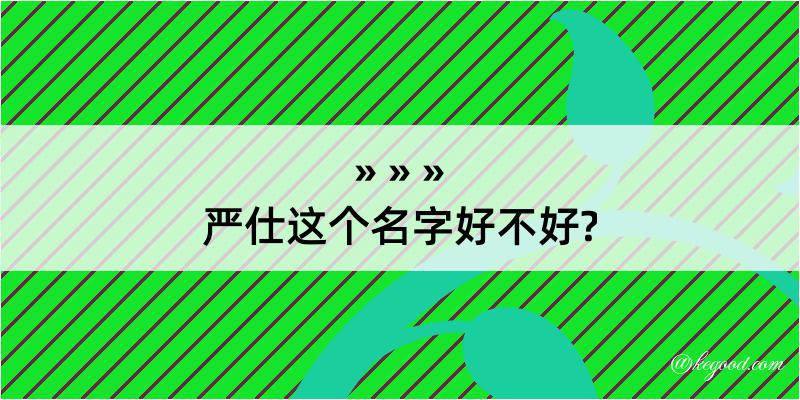 严仕这个名字好不好?