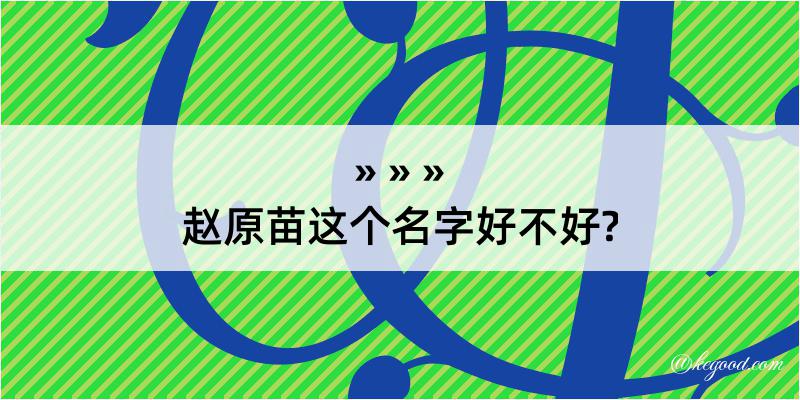 赵原苗这个名字好不好?