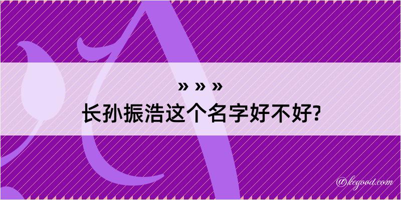 长孙振浩这个名字好不好?