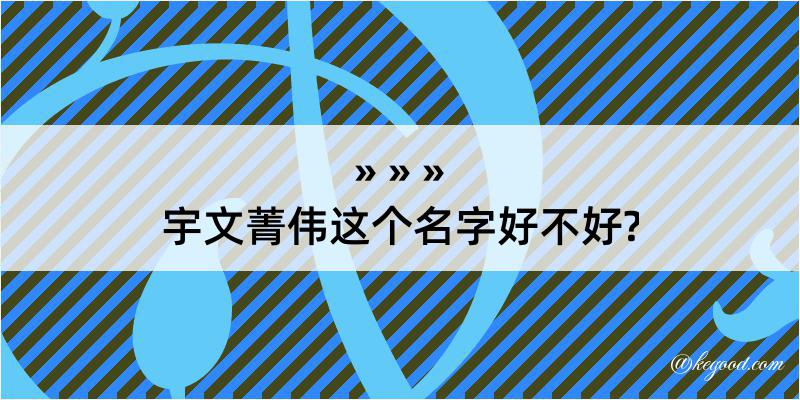 宇文菁伟这个名字好不好?