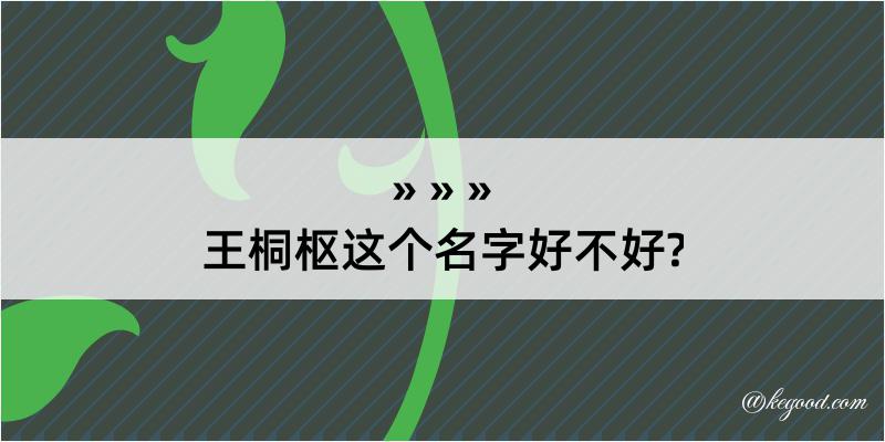 王桐枢这个名字好不好?