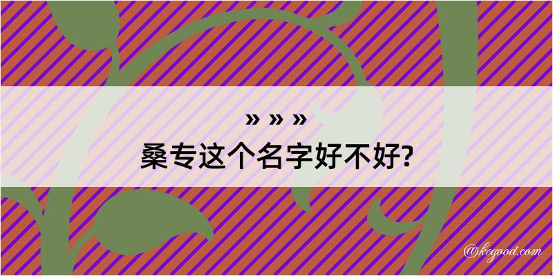 桑专这个名字好不好?