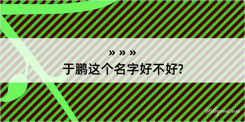 于鹏这个名字好不好?