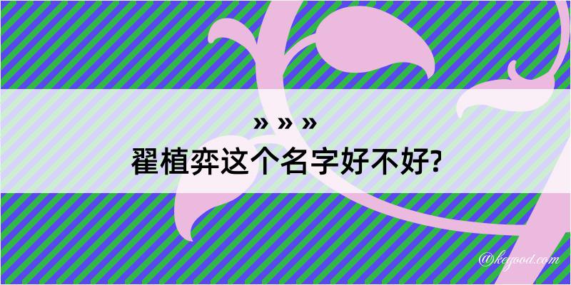 翟植弈这个名字好不好?