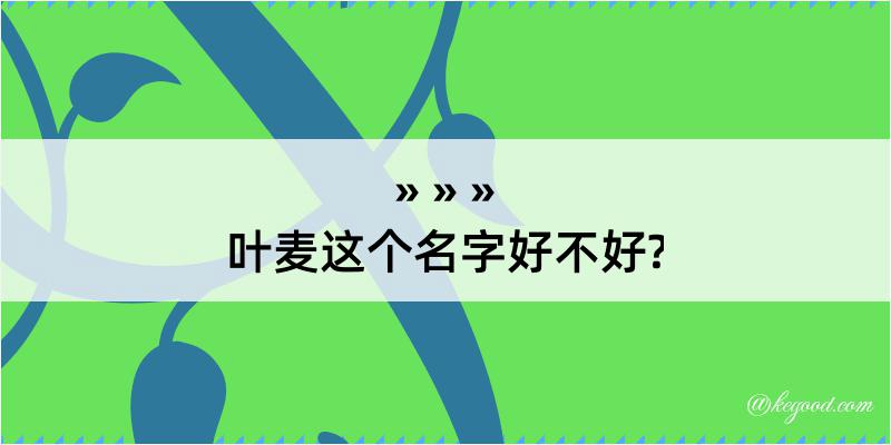 叶麦这个名字好不好?