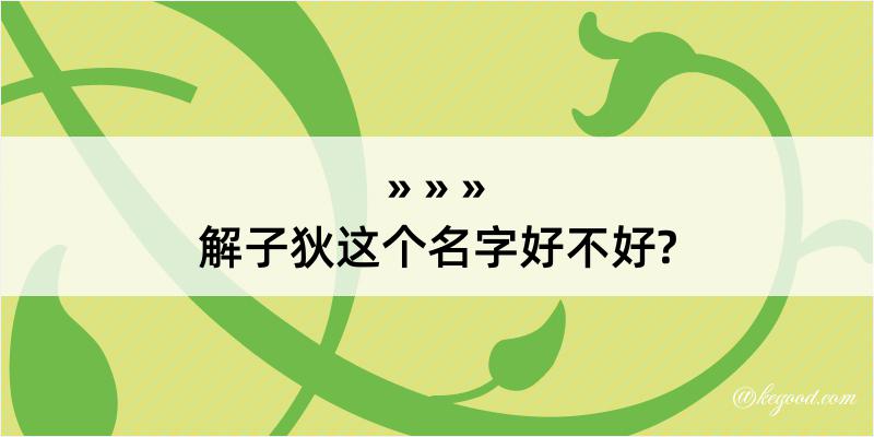 解子狄这个名字好不好?