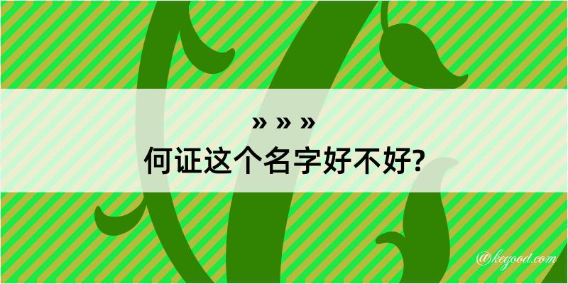 何证这个名字好不好?