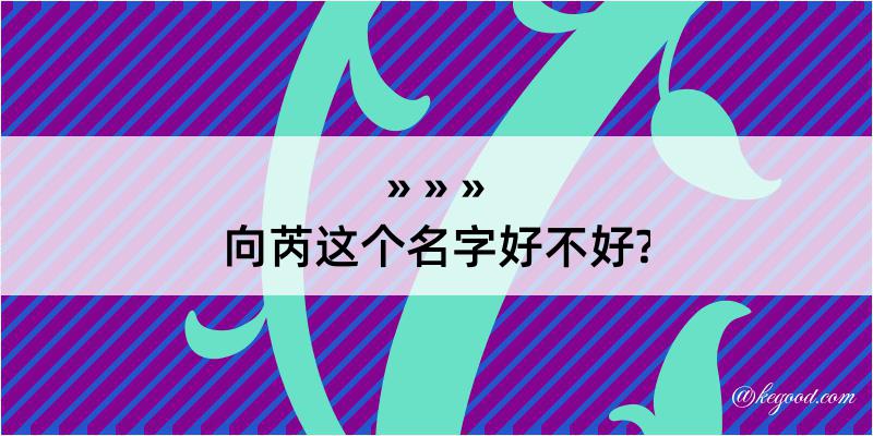 向芮这个名字好不好?