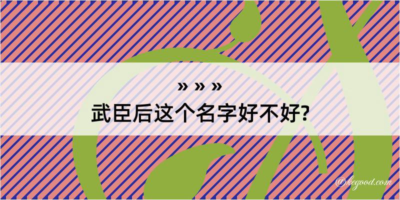 武臣后这个名字好不好?