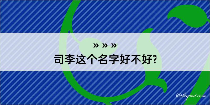 司李这个名字好不好?