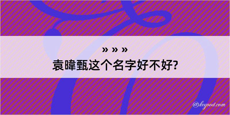 袁暐甄这个名字好不好?