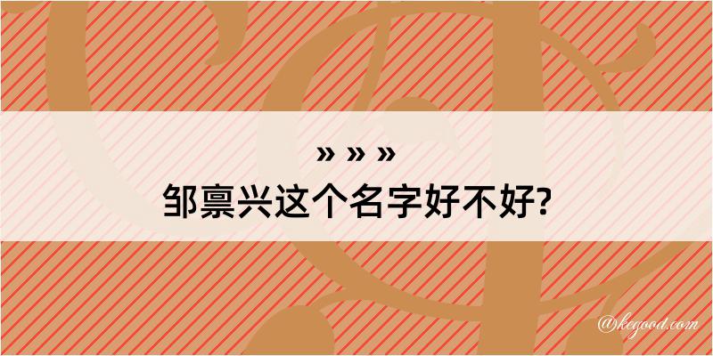 邹禀兴这个名字好不好?