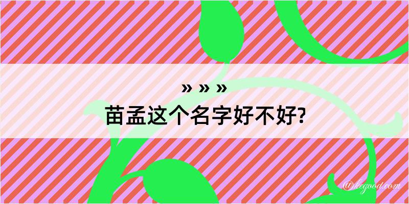 苗孟这个名字好不好?