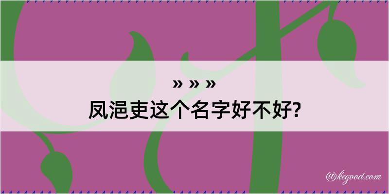 凤浥吏这个名字好不好?