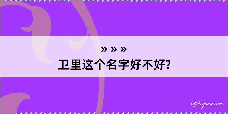 卫里这个名字好不好?