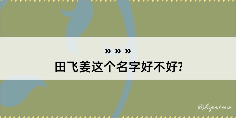 田飞姜这个名字好不好?