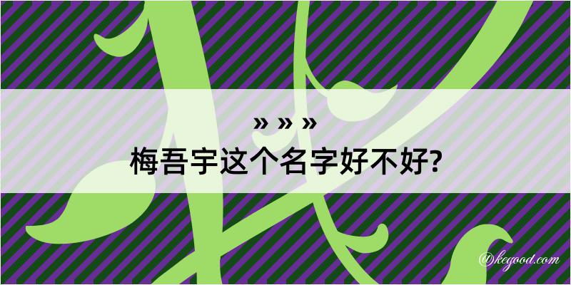 梅吾宇这个名字好不好?