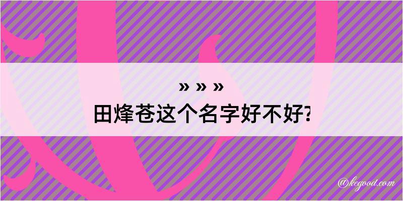 田烽苍这个名字好不好?