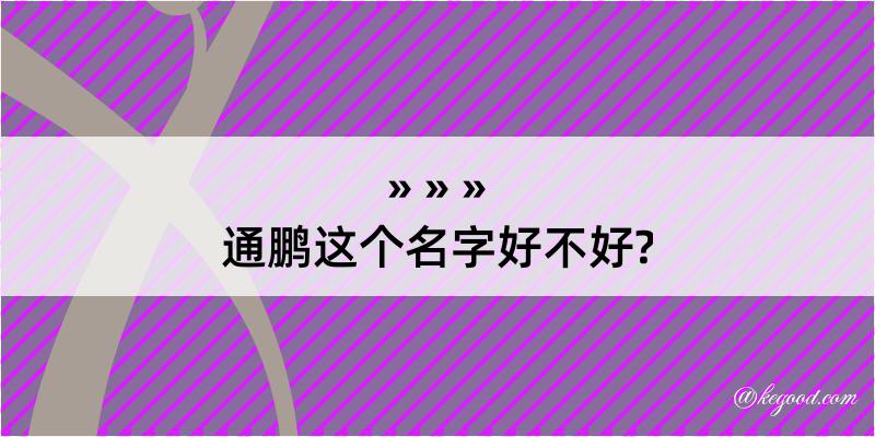 通鹏这个名字好不好?