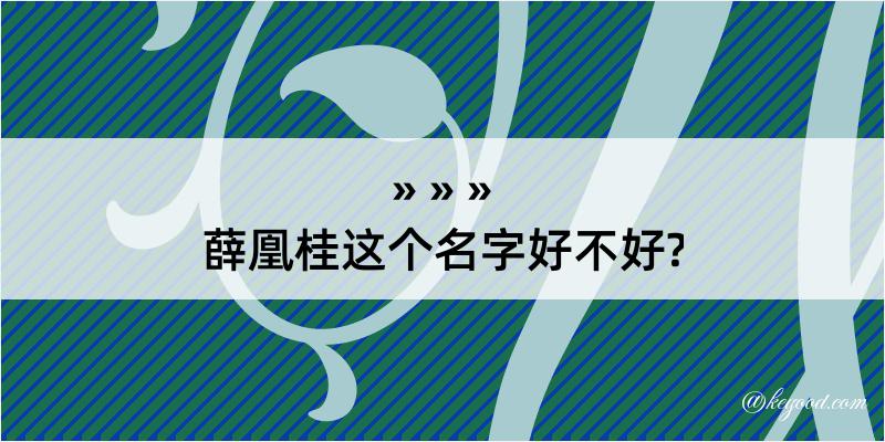 薛凰桂这个名字好不好?