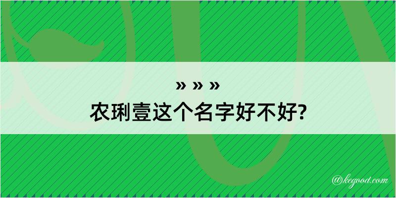 农琍壹这个名字好不好?