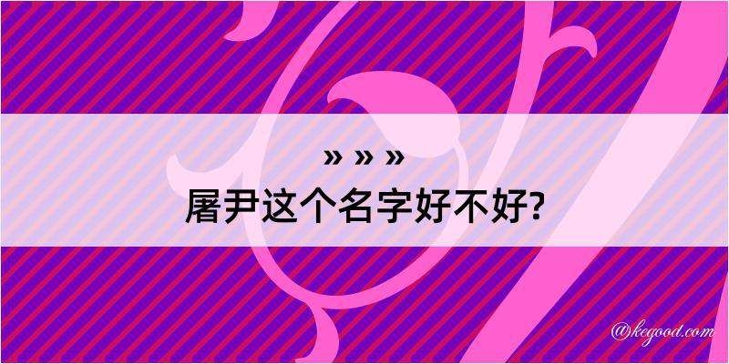 屠尹这个名字好不好?