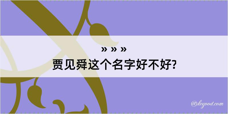 贾见舜这个名字好不好?