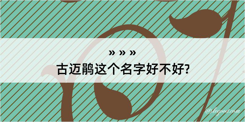 古迈鹃这个名字好不好?