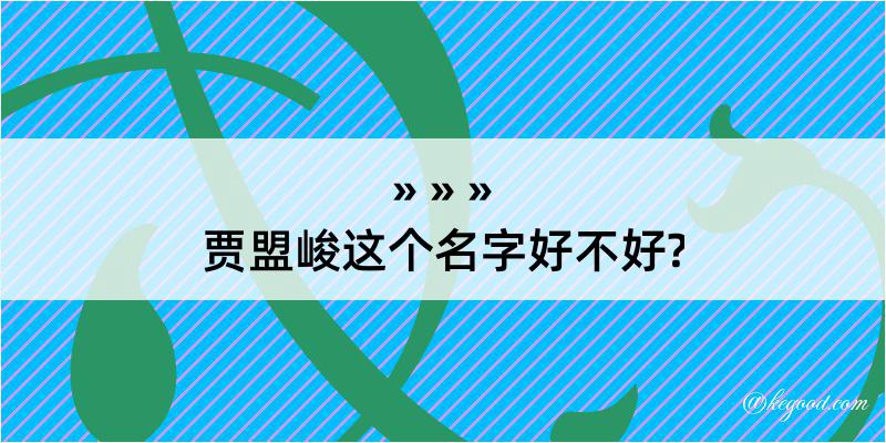 贾盟峻这个名字好不好?