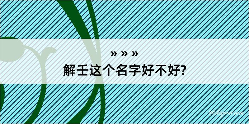 解壬这个名字好不好?