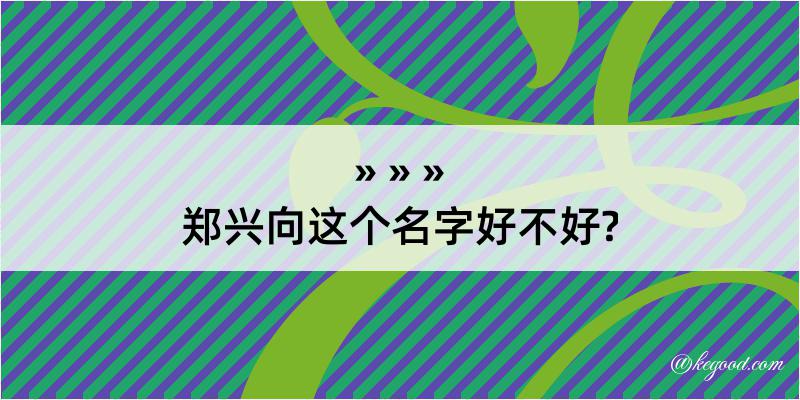 郑兴向这个名字好不好?