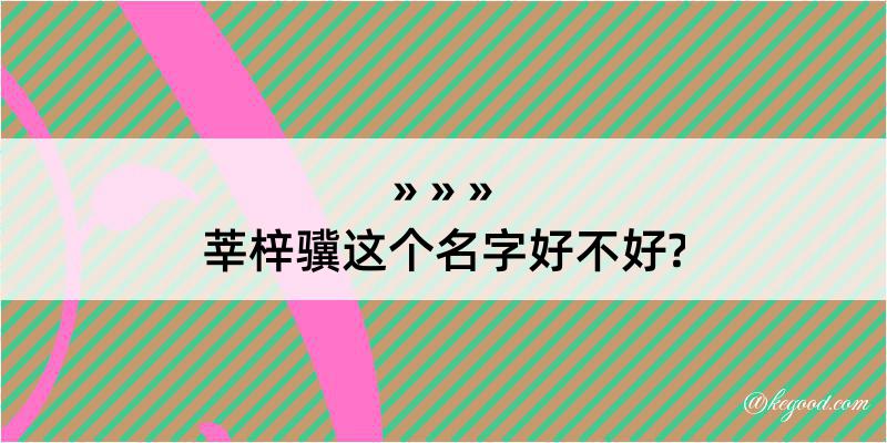 莘梓骥这个名字好不好?